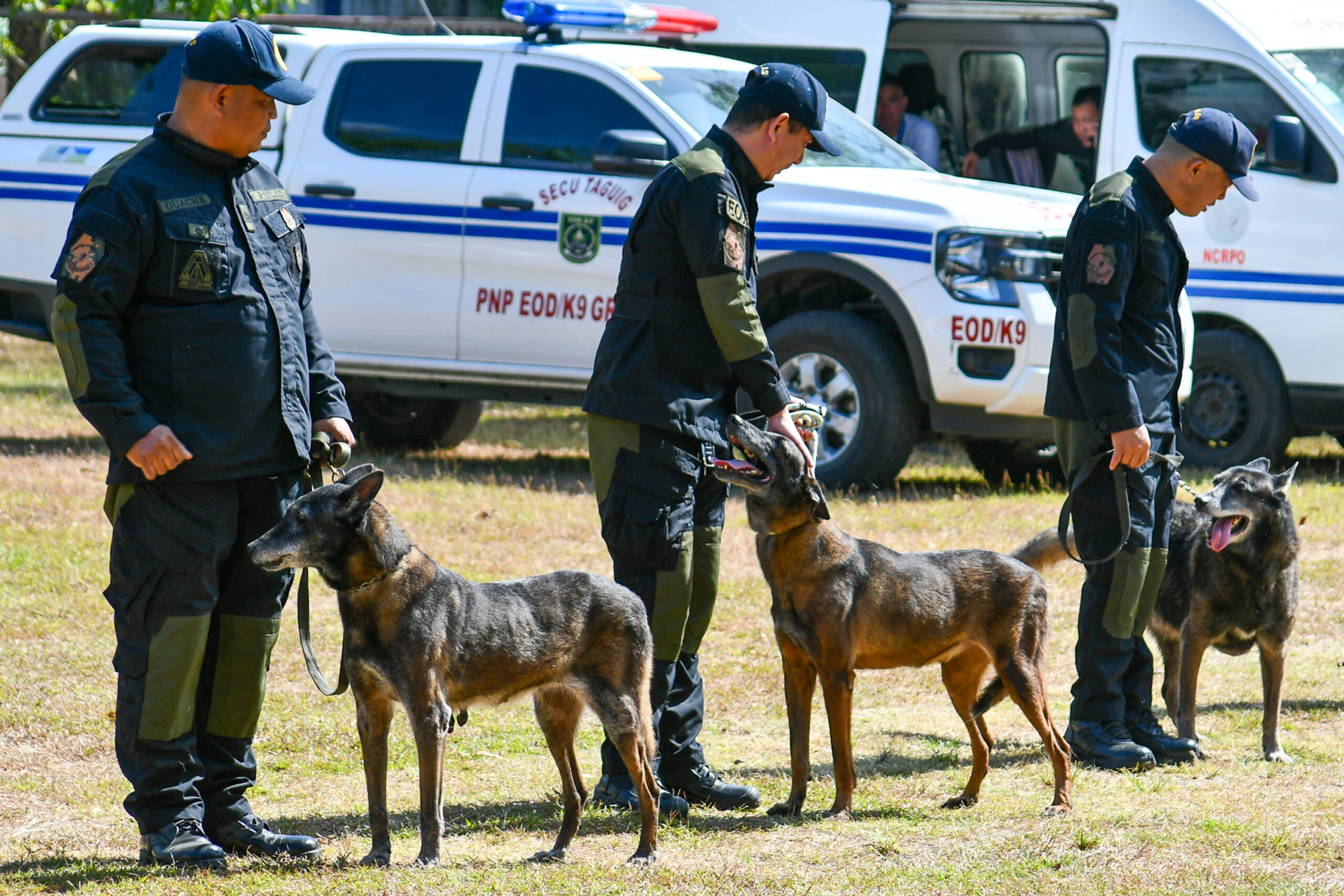Philippines Opens Adoption for 26 Retiring Police Dogs