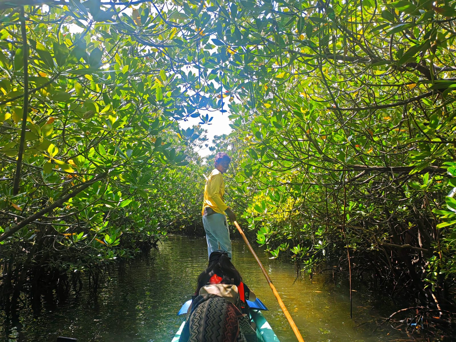 Philippine Town Restores 1,000 Acres of Mangrove Forest - Image 2