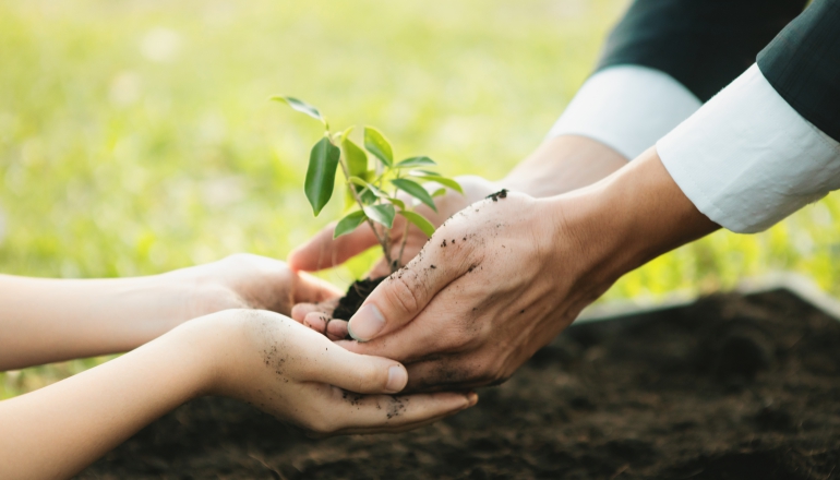 New Insurance Cuts Costs for Reforestation Carbon Projects