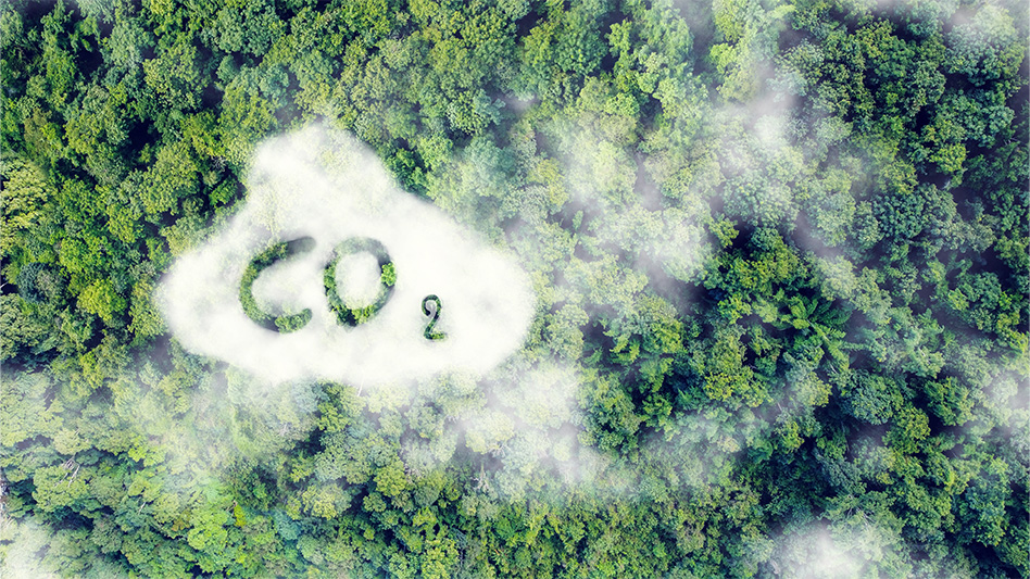 Quebec Packaging Giant Cuts Emissions 33% in 6 Years