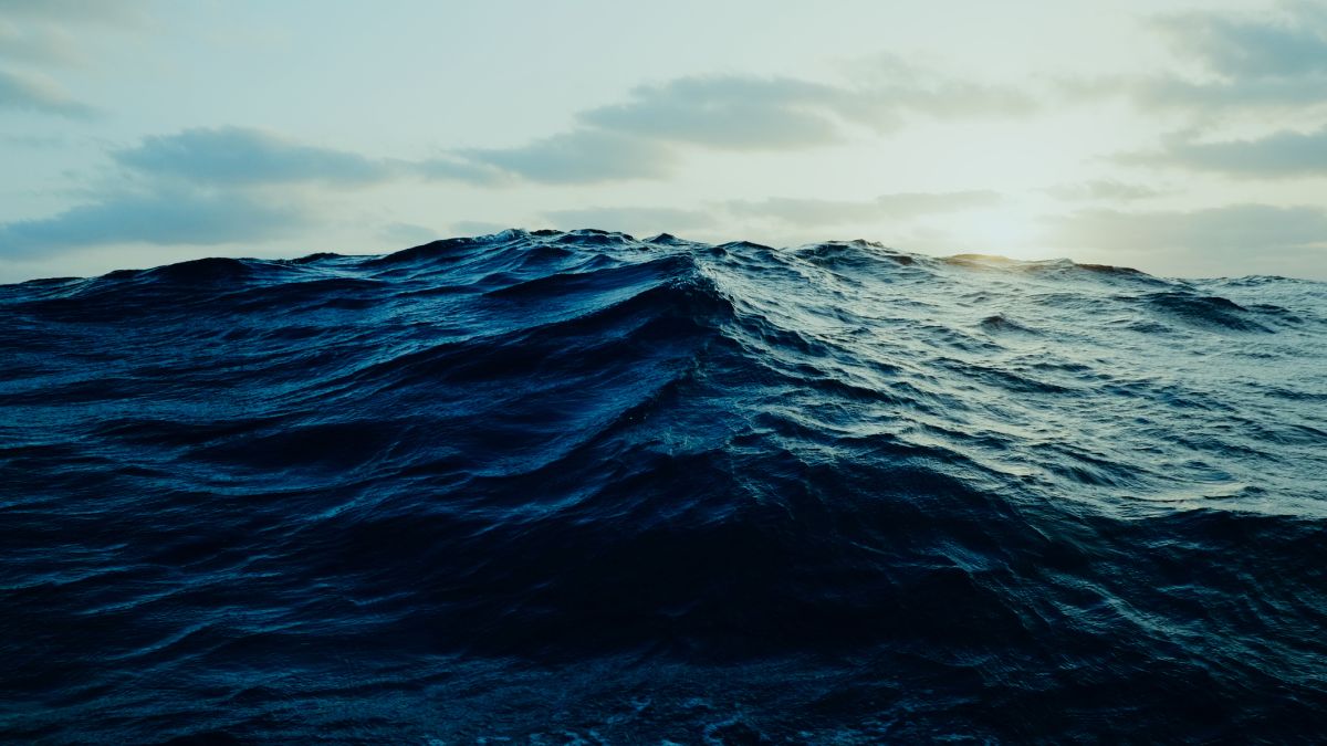 Dark ocean waters near New Zealand coast after tropical cyclone causes marine darkwave event