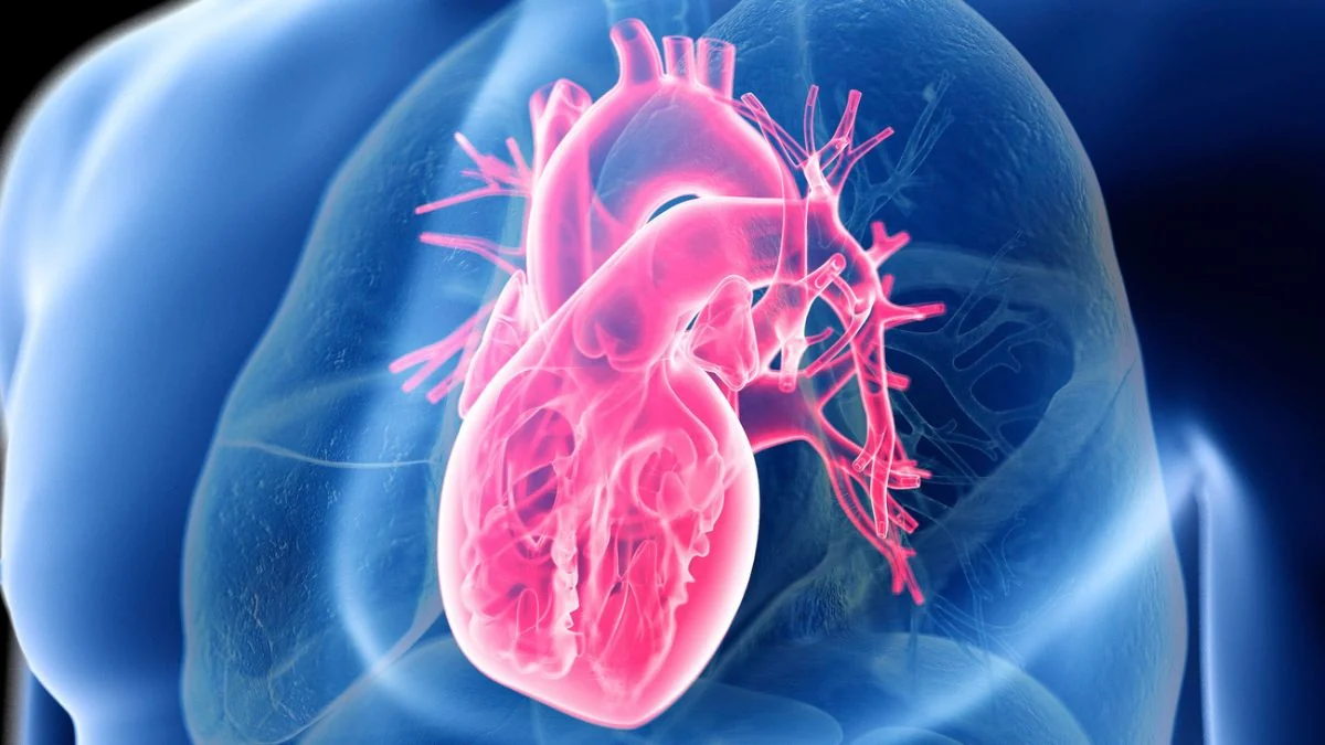 30-Year Study: Food Quality Beats Low-Carb, Low-Fat Diets