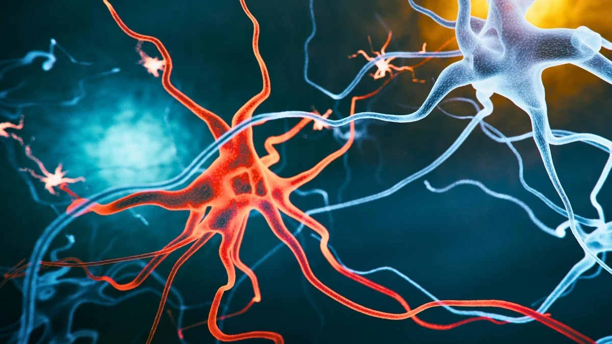 New Alzheimer's Drug Reverses Memory Loss in Mice
