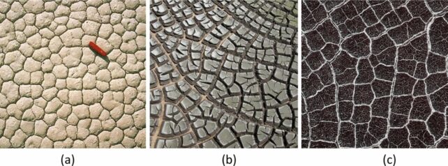 NASA's Mars Rover Discovers 'Dragon Scale' Rocks - Image 4