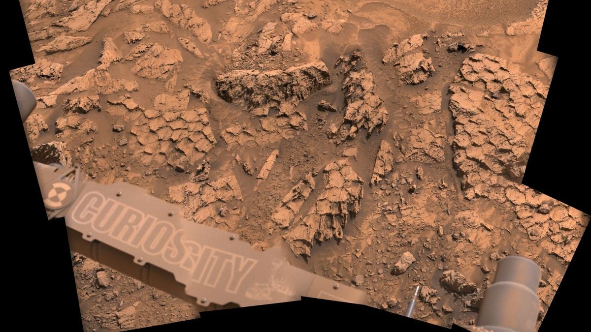 Honeycomb-shaped dragon scale rock patterns on Mars surface captured by Curiosity rover