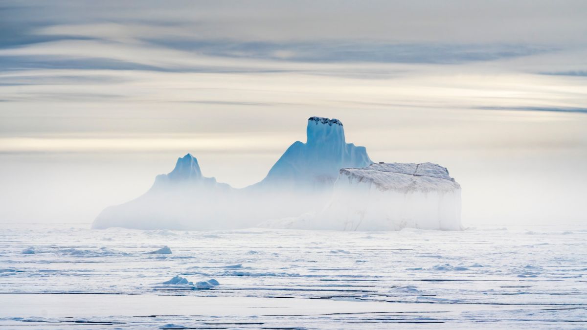 Greenland Icebergs Creating New Ocean Habitats