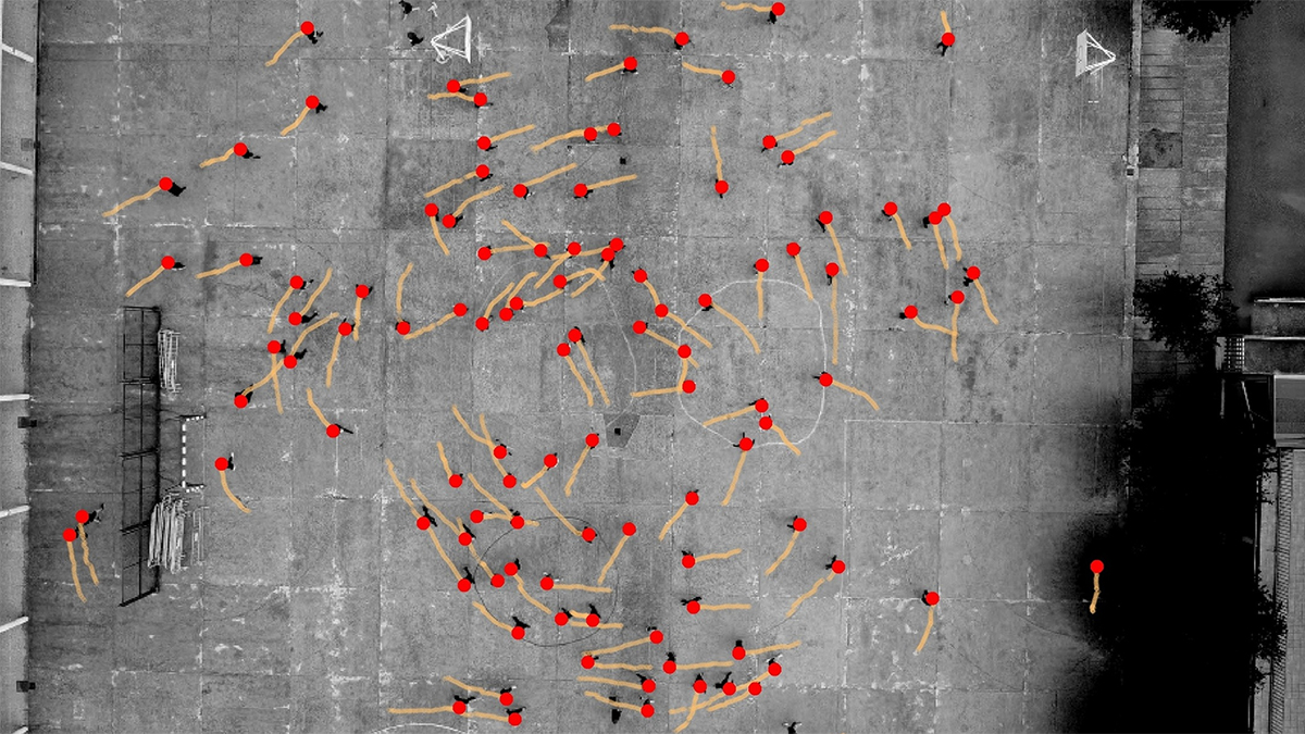 Humans Turn Left More Often, Scientists Discover
