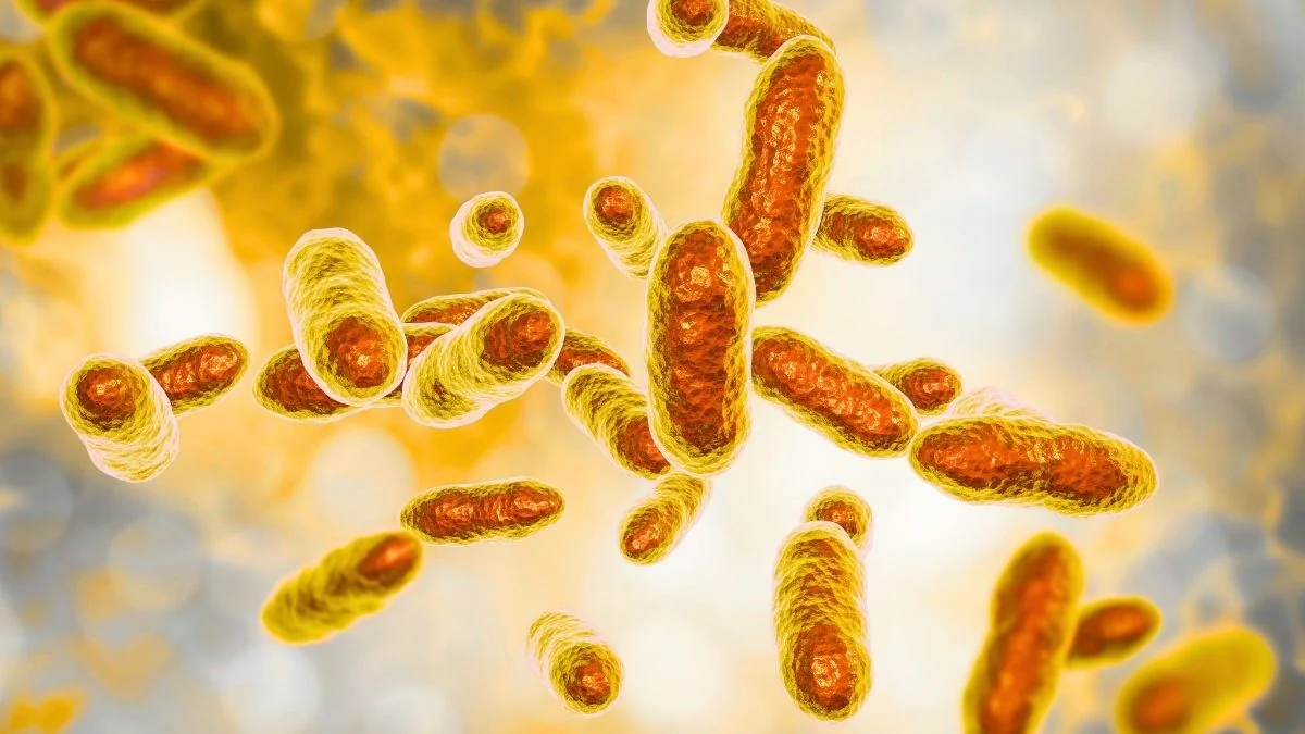 Bacteria Clean 95% of Uranium From German Mine Water