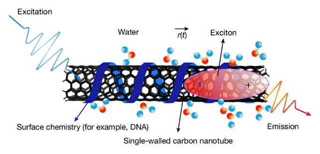 Scientists Use Light to Slow Down Motion at Nano Scale - Image 3