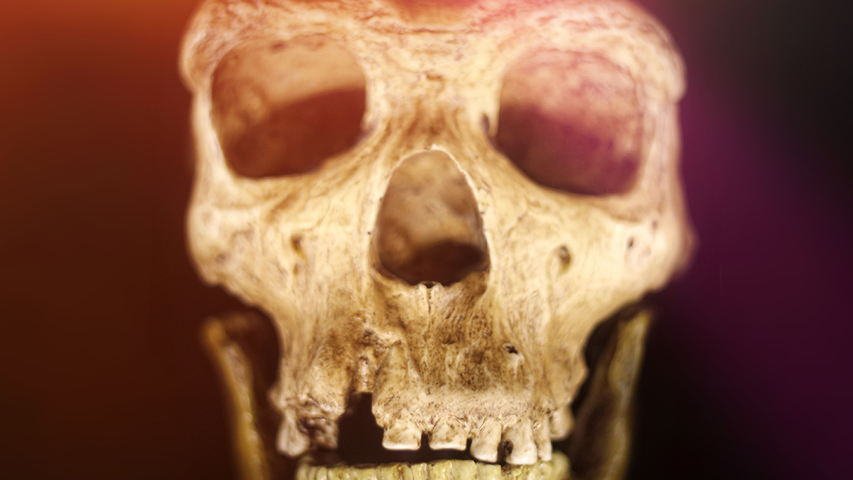 Humans and Neanderthals Shared Culture for 20,000 Years