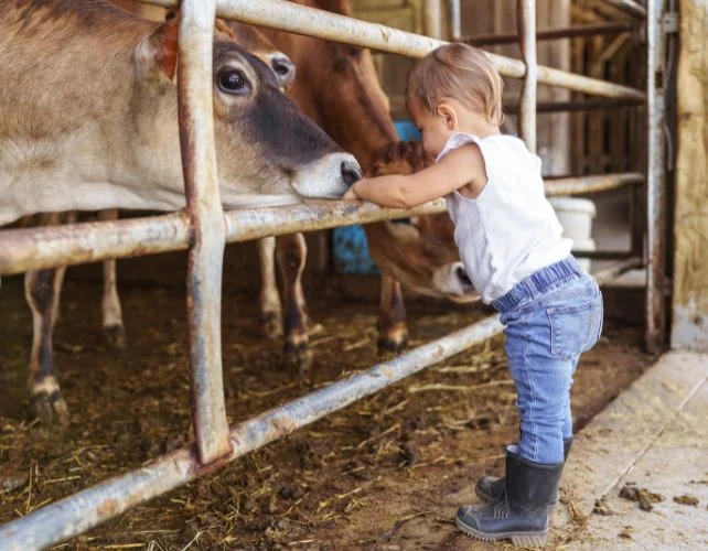 Scientists Find 9 Bacteria That Protect Kids From Asthma - Image 4