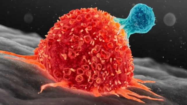 3-Year-Old's Liver Cancer Vanishes After New Treatment - Image 2