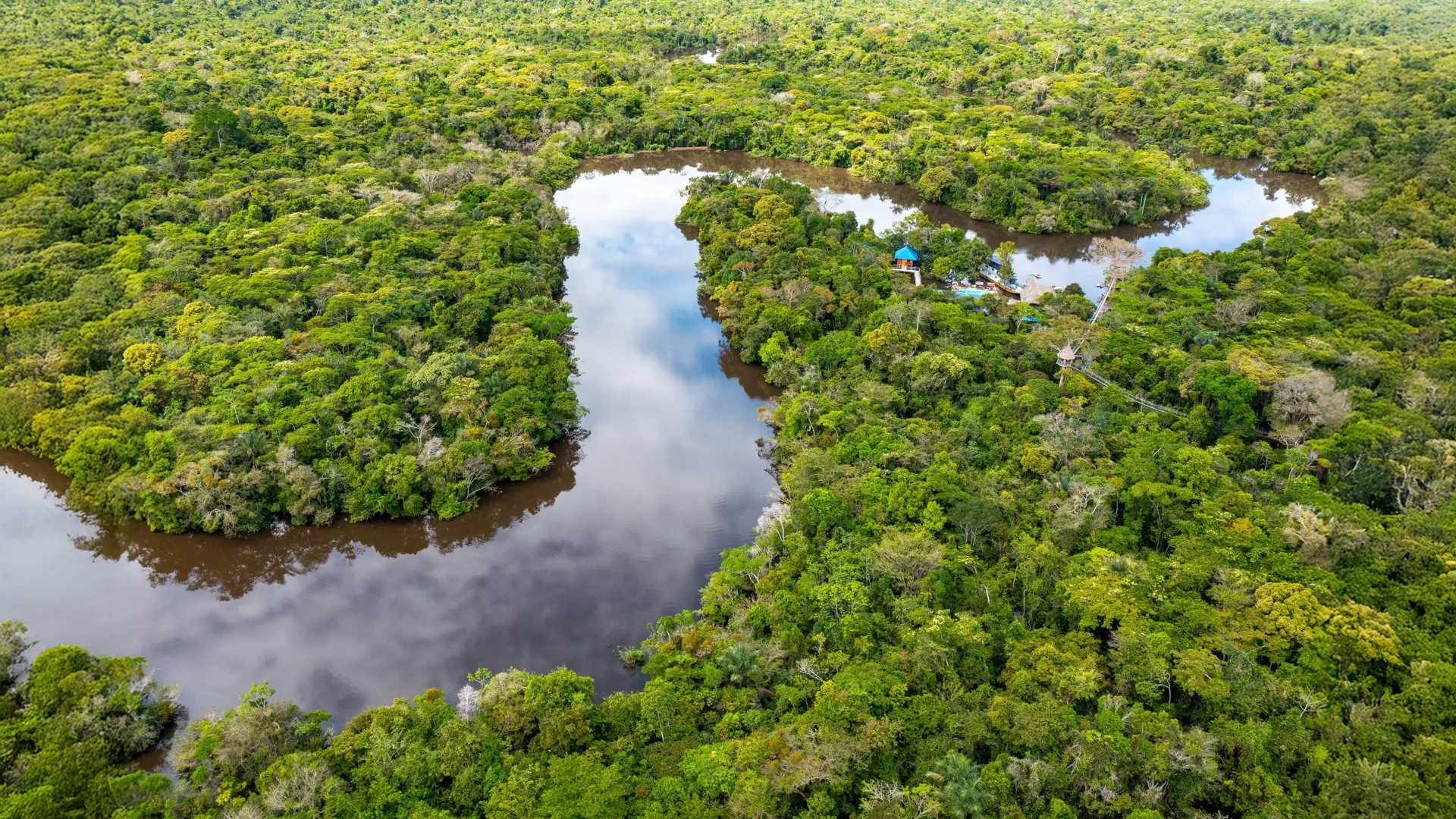Amazon Study: Protecting Forests Beats Planting New Ones