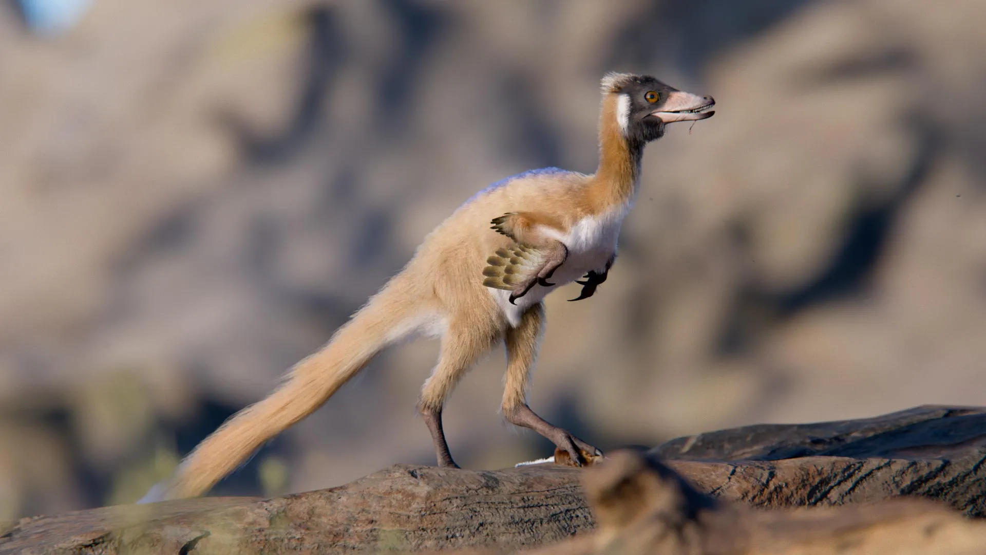 Artist illustration of tiny bird-like Alnashetri dinosaur standing in prehistoric Patagonian landscape