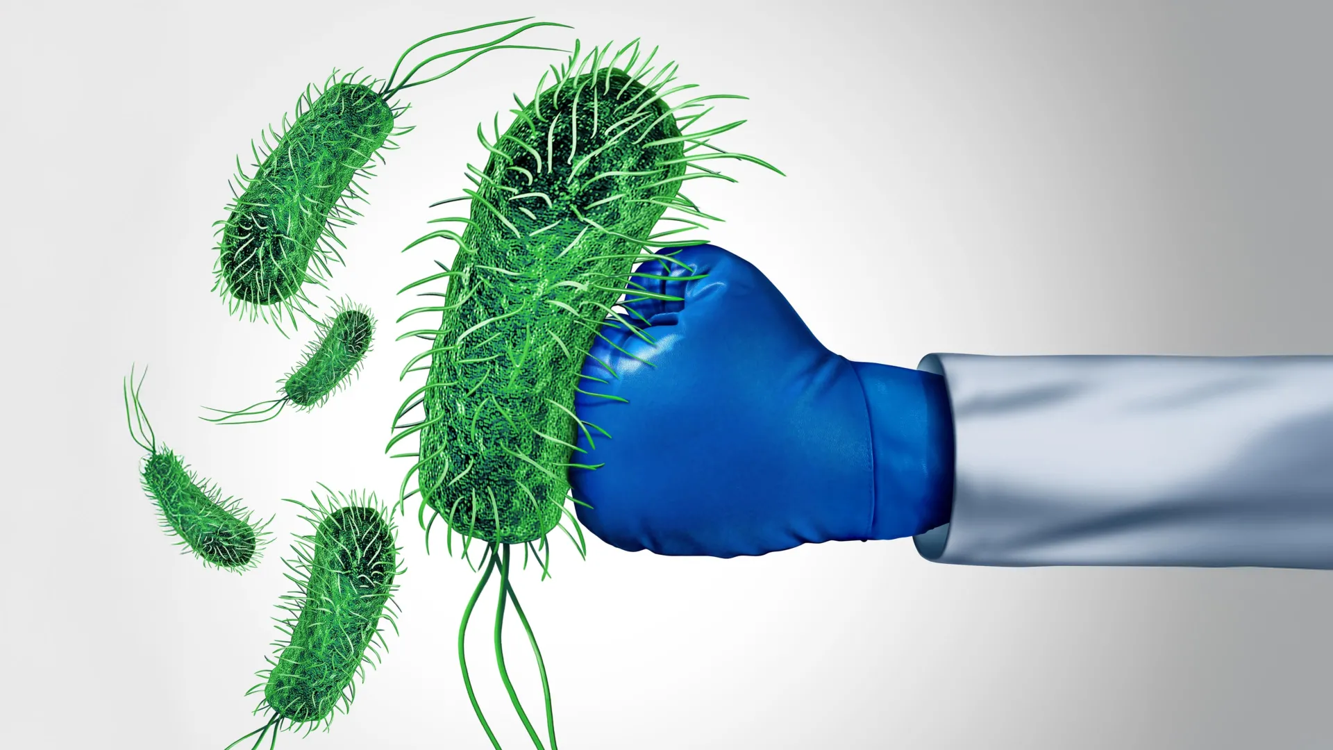 Korean Skincare Ingredient Kills Drug-Resistant Bacteria