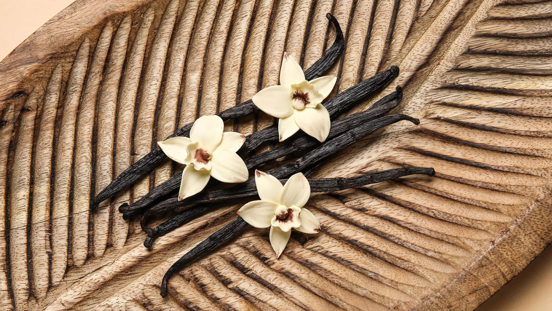 Vanilla Could Fight Infections and Heal Chronic Wounds
