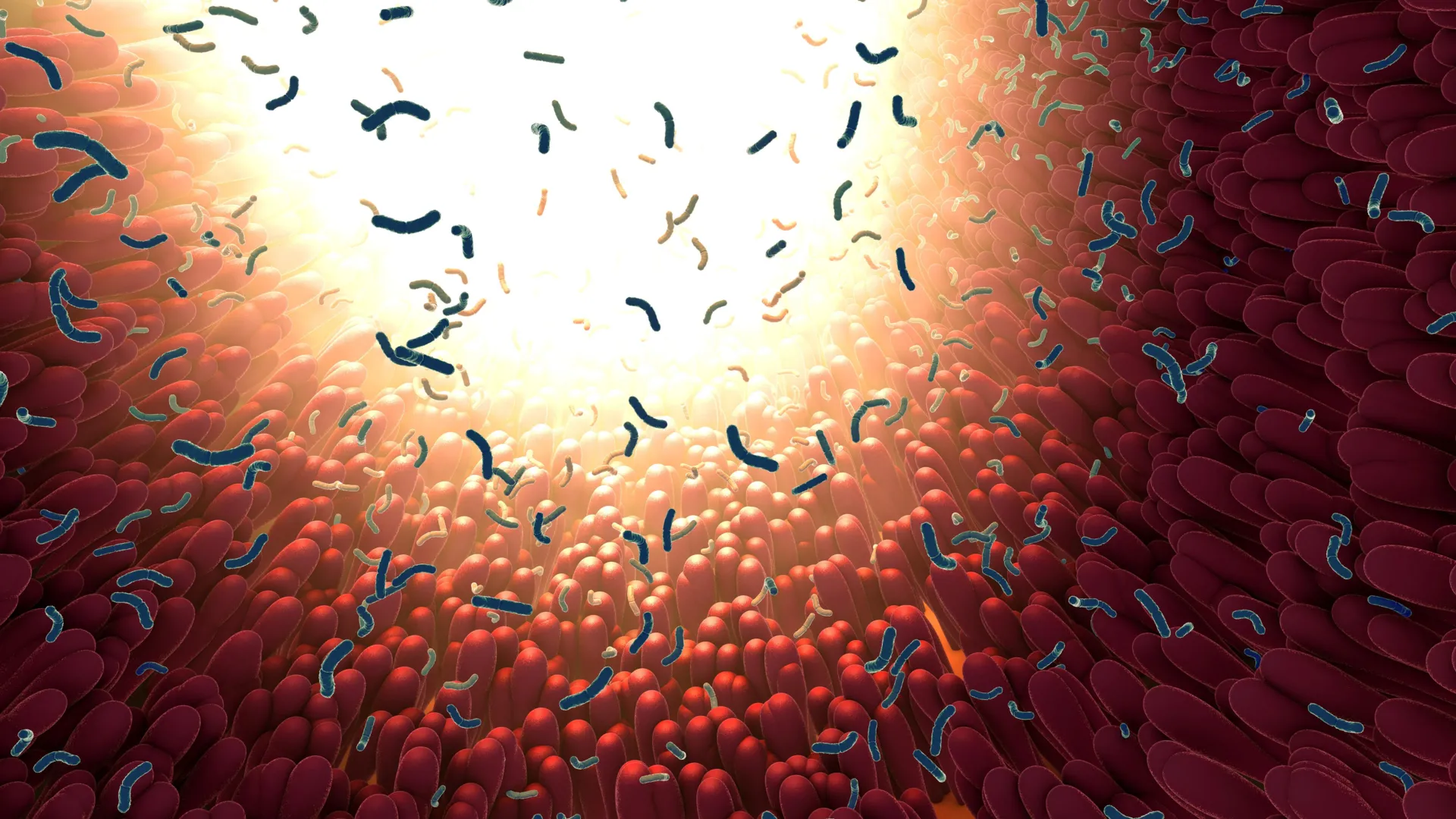 Microscopic illustration of gut exosomes carrying molecular signals through the digestive system
