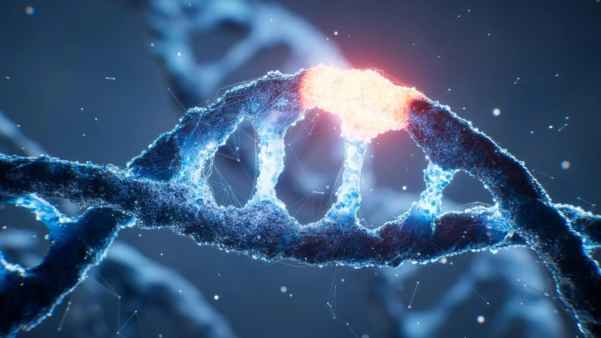 Scientists Double DNA's Alphabet From 4 Letters to 8