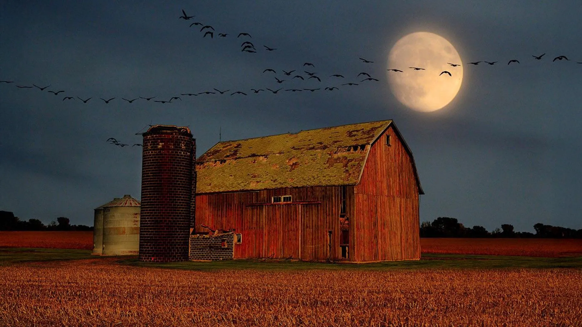 Venus Hits Peak Brightness as September Sky Dazzles