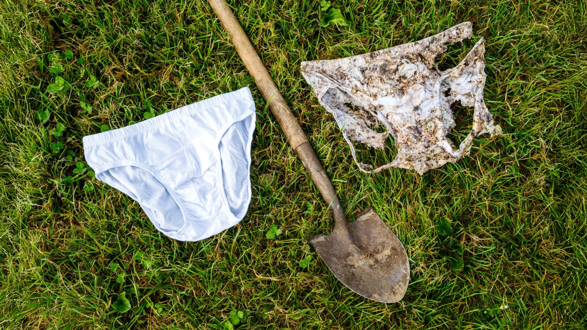 1,000 Swiss Volunteers Buried Their Underwear for Science