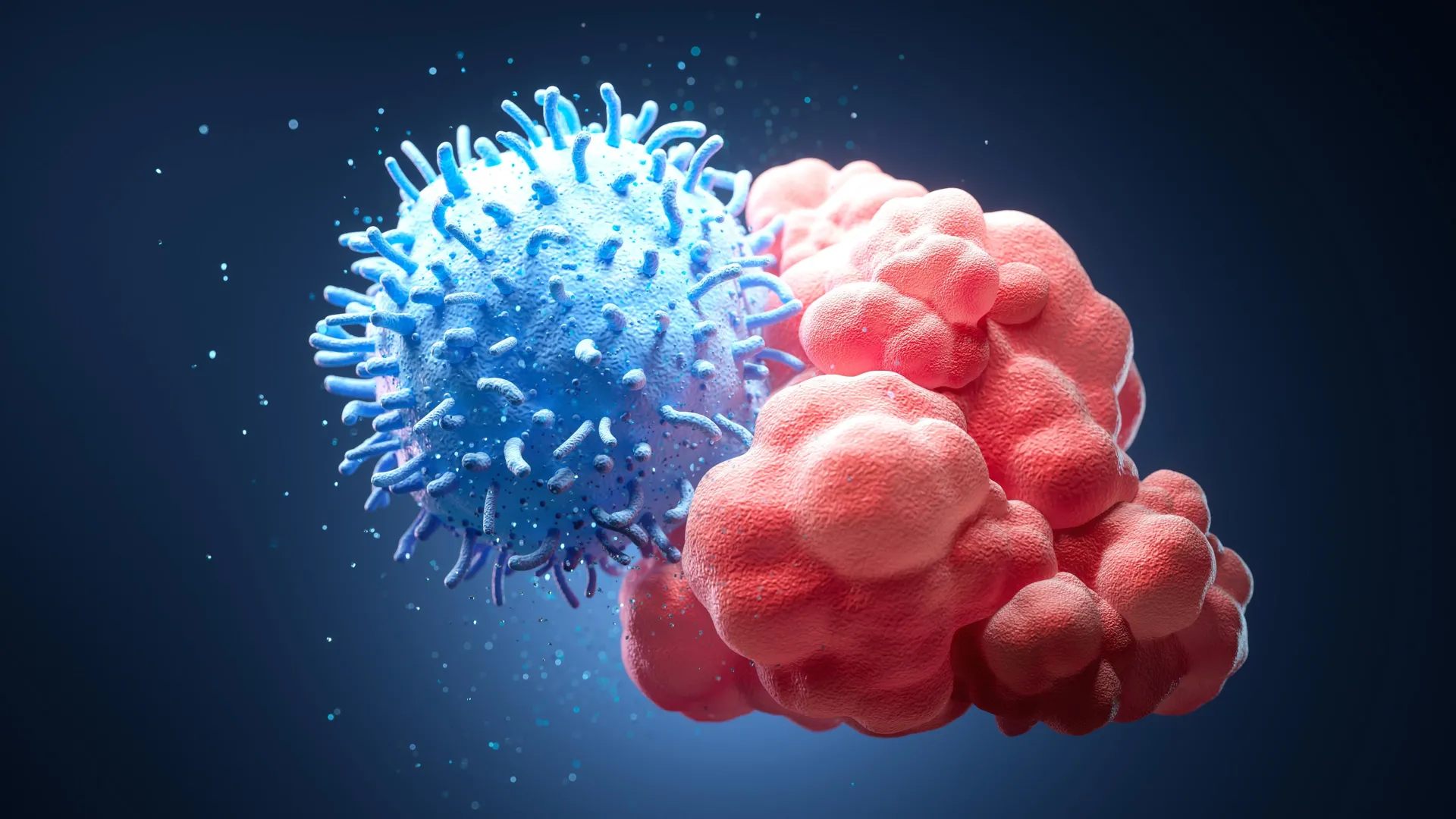 Immune Cells Can "Feel" Tissue Stiffness, Study Finds