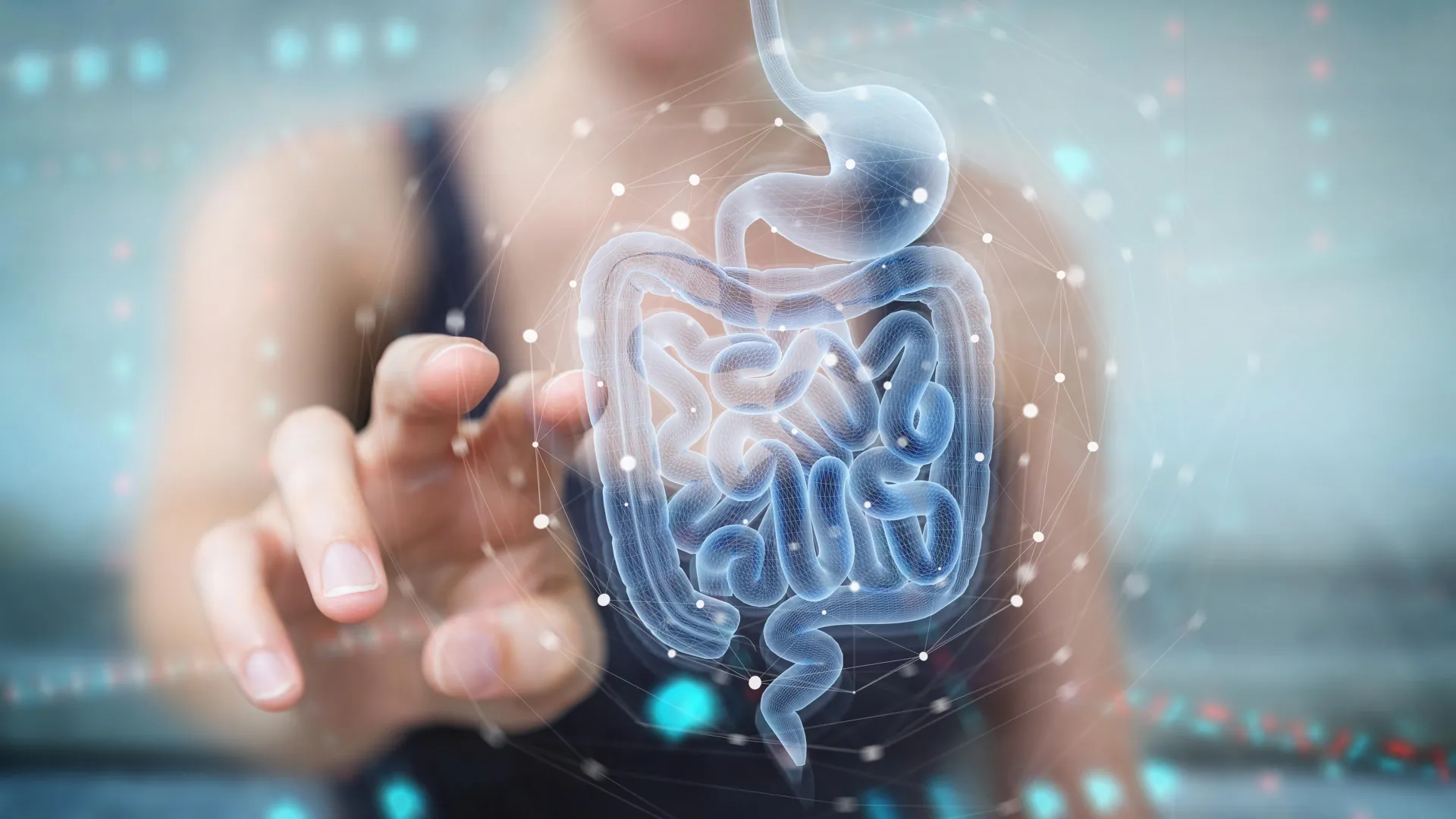 Gut Compound From Berries May Heal Intestinal Damage