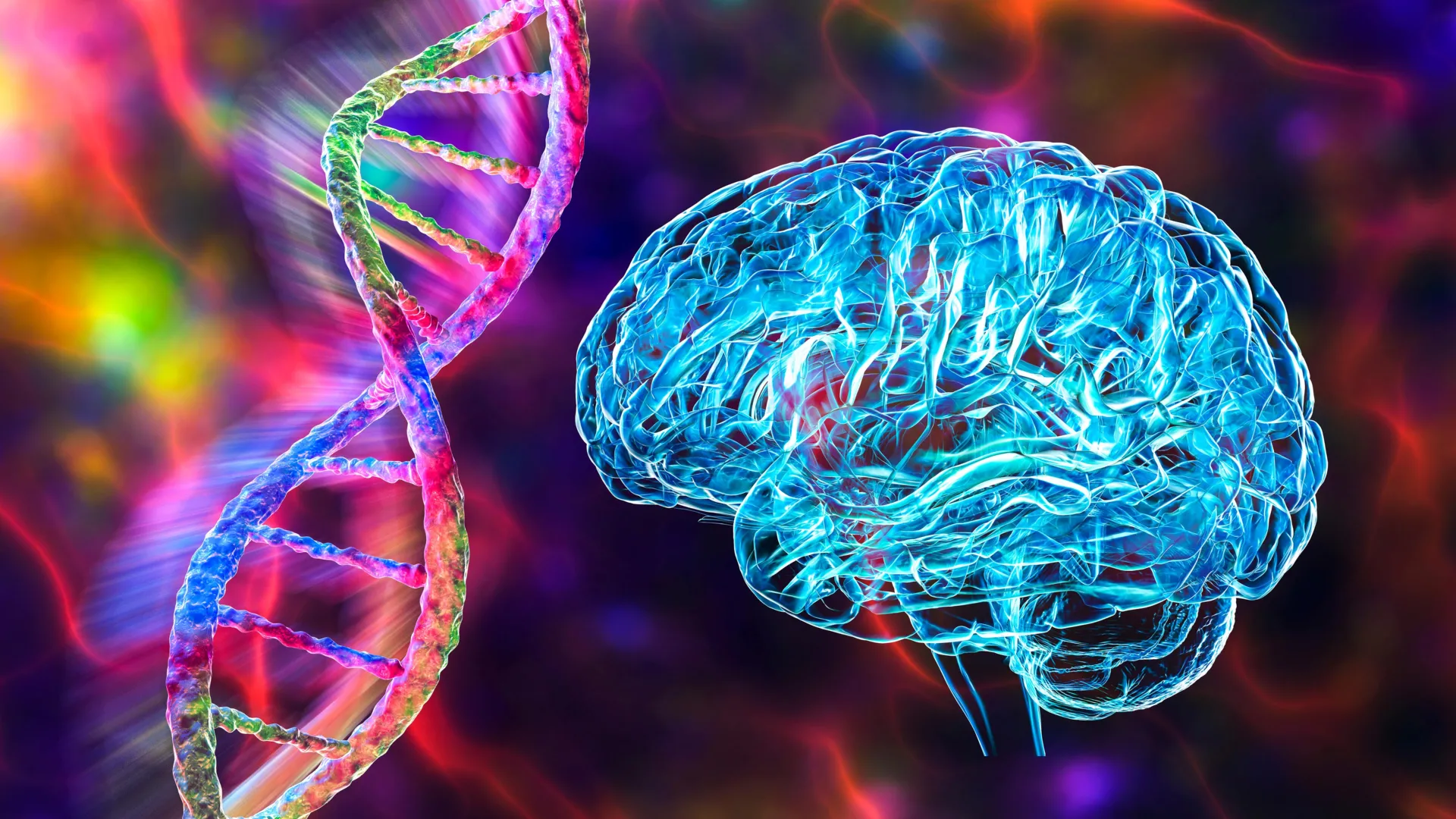 Human-Only Gene May Explain Our Unique Brainpower