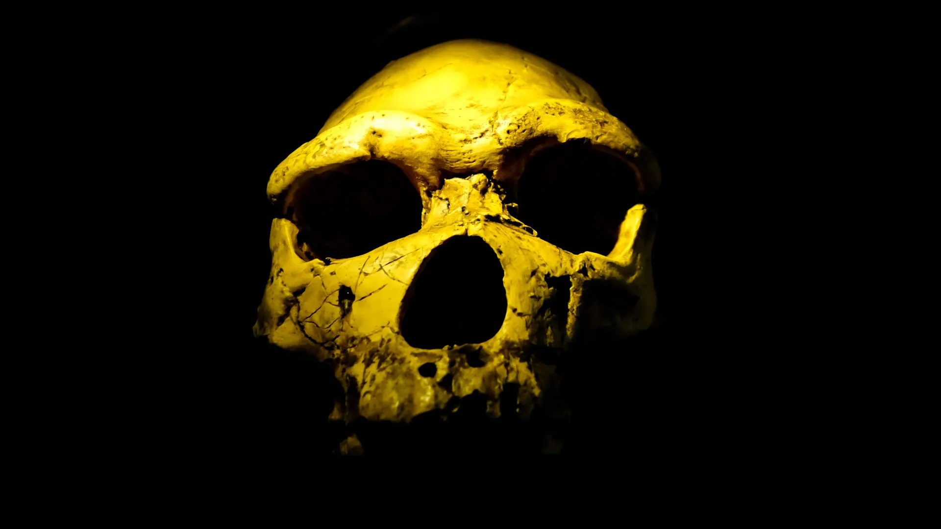Scientists Find Homo Erectus 200,000 Years Earlier Than Thought