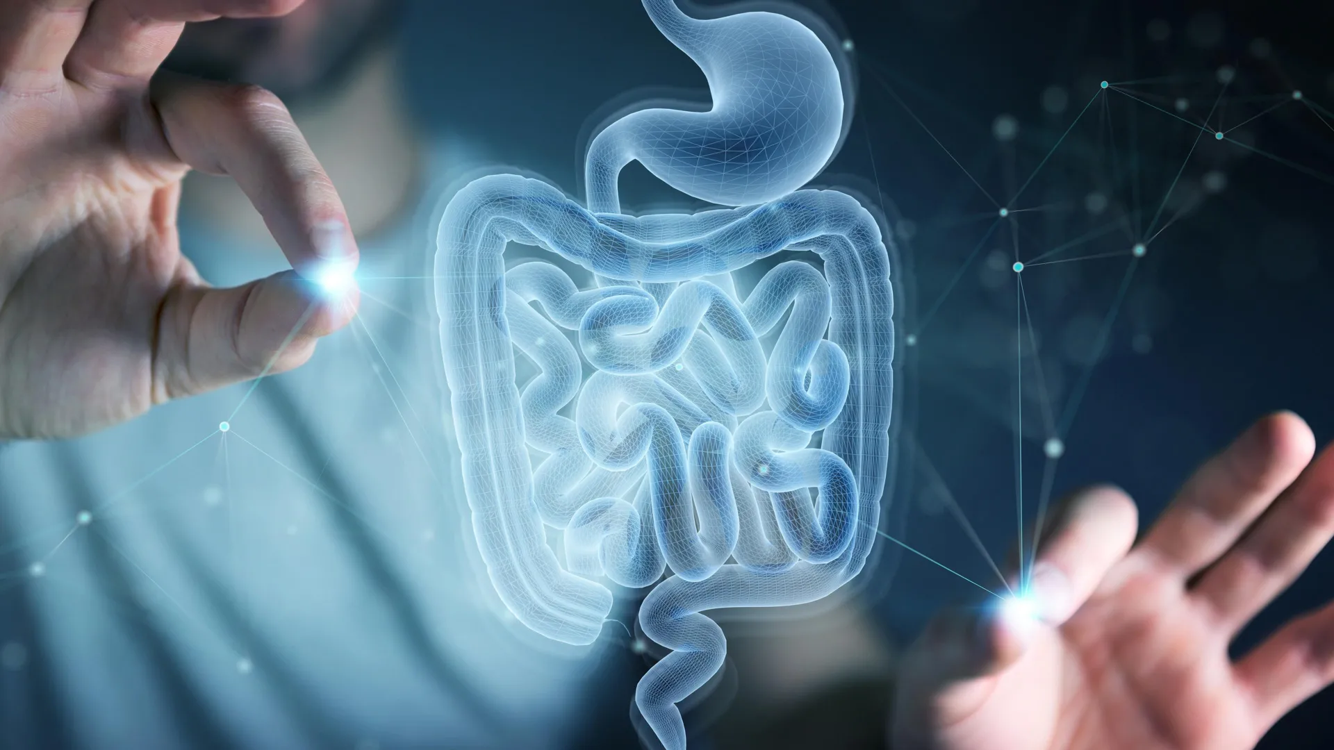 MIT Finds Amino Acid That Helps Gut Heal Itself
