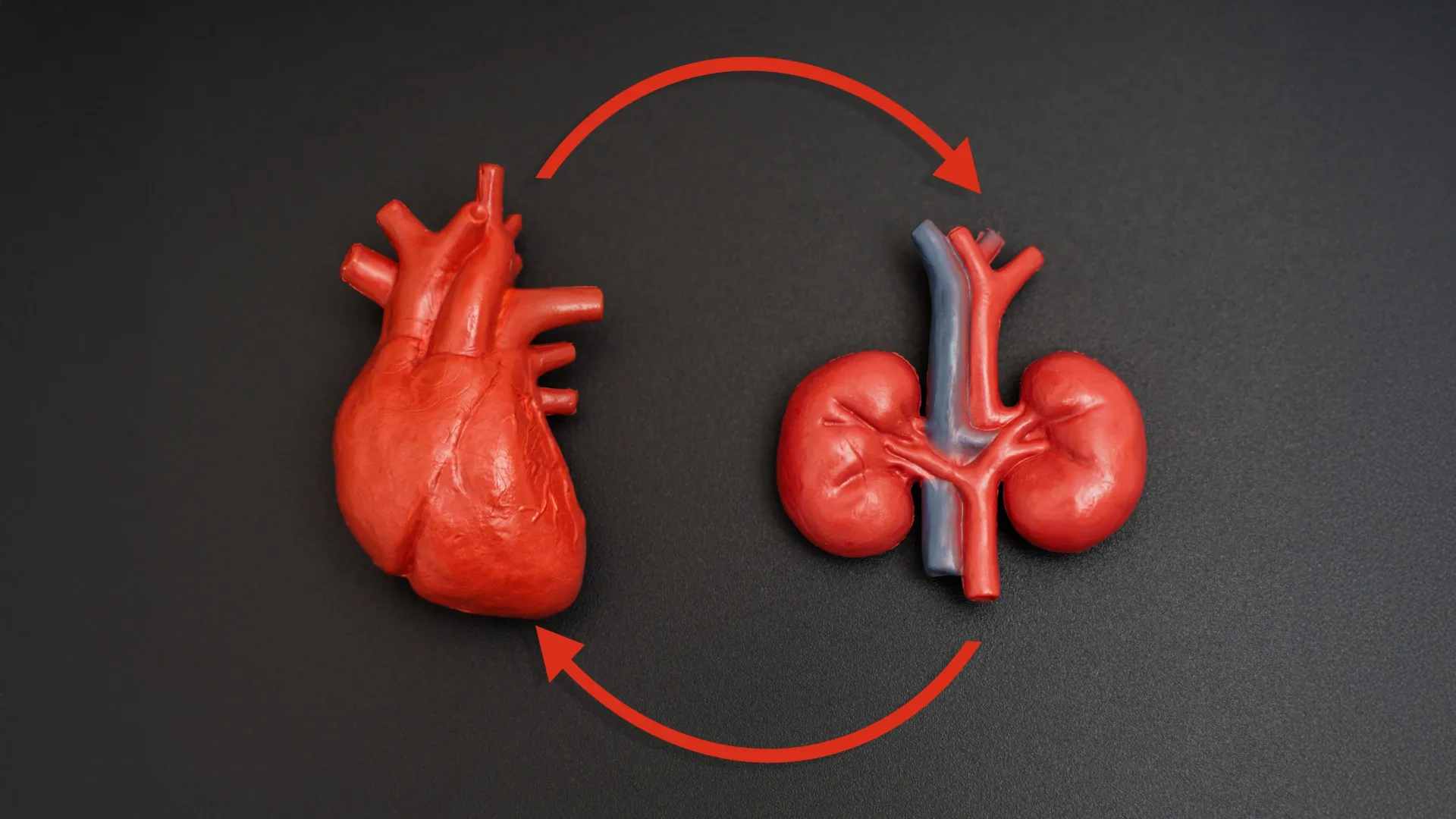 New Heart-Kidney Guidelines Could Save Millions in Europe