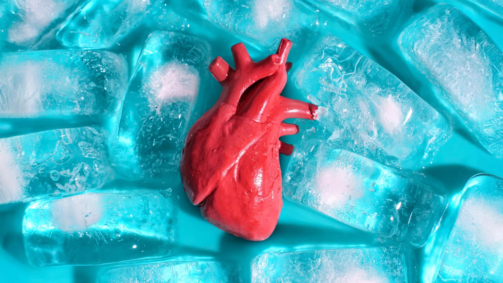 Scientists Crack Organ Freezing Problem for Transplants