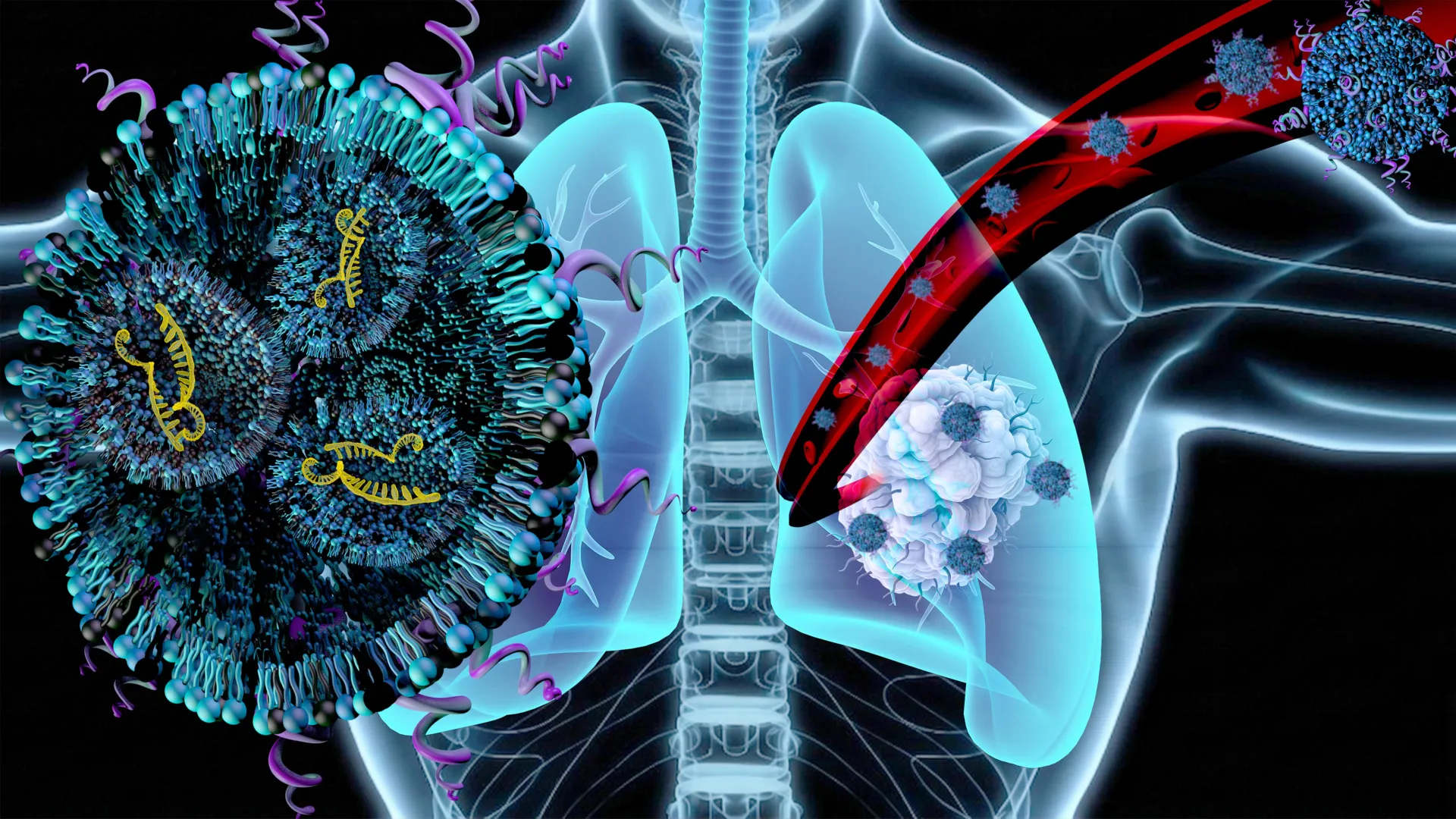 Scientists Target Lung Cancer and Muscle Loss Together
