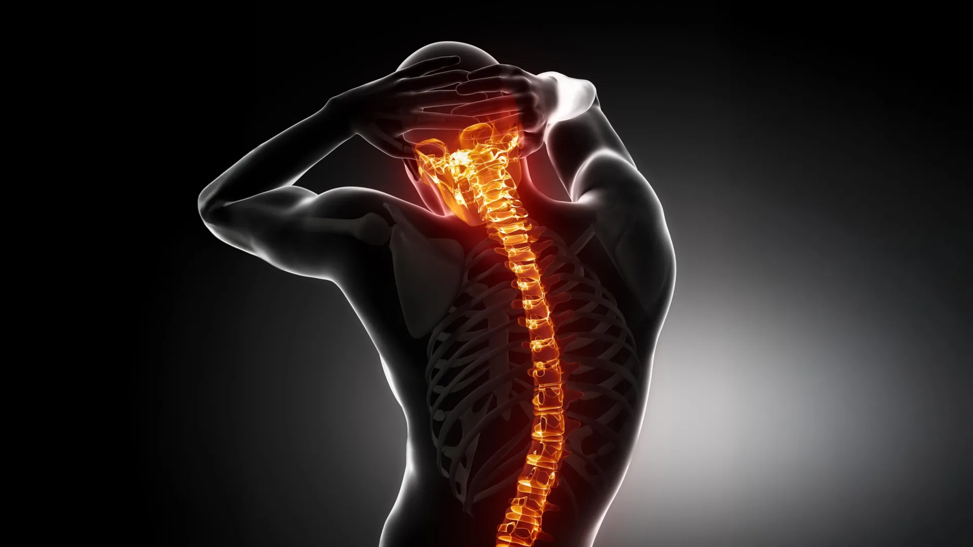 Scientists Find Immune Signal That Regrows Spinal Cords