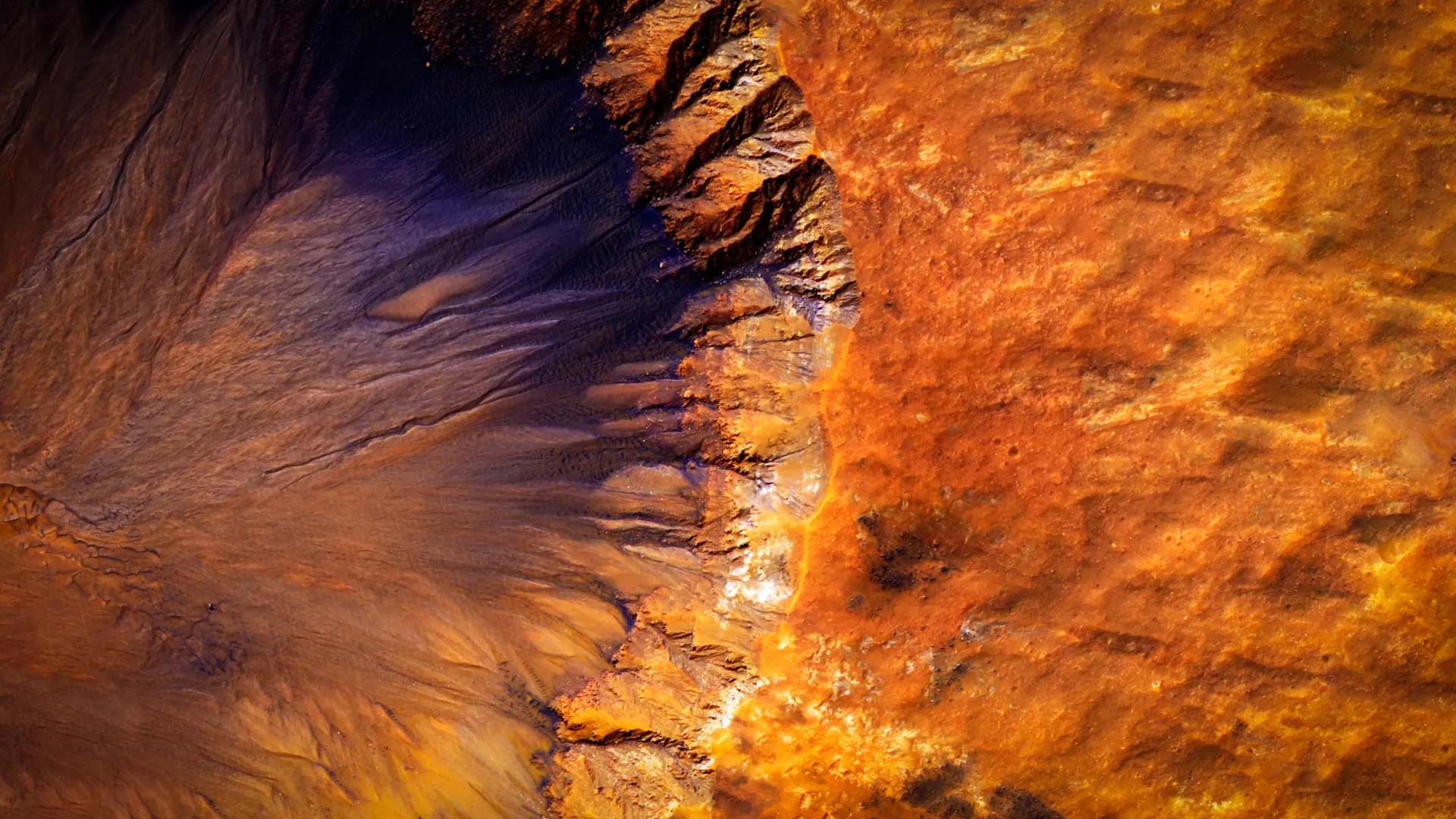Yeast Cells Survive Mars-Like Shock Waves and Toxic Soil