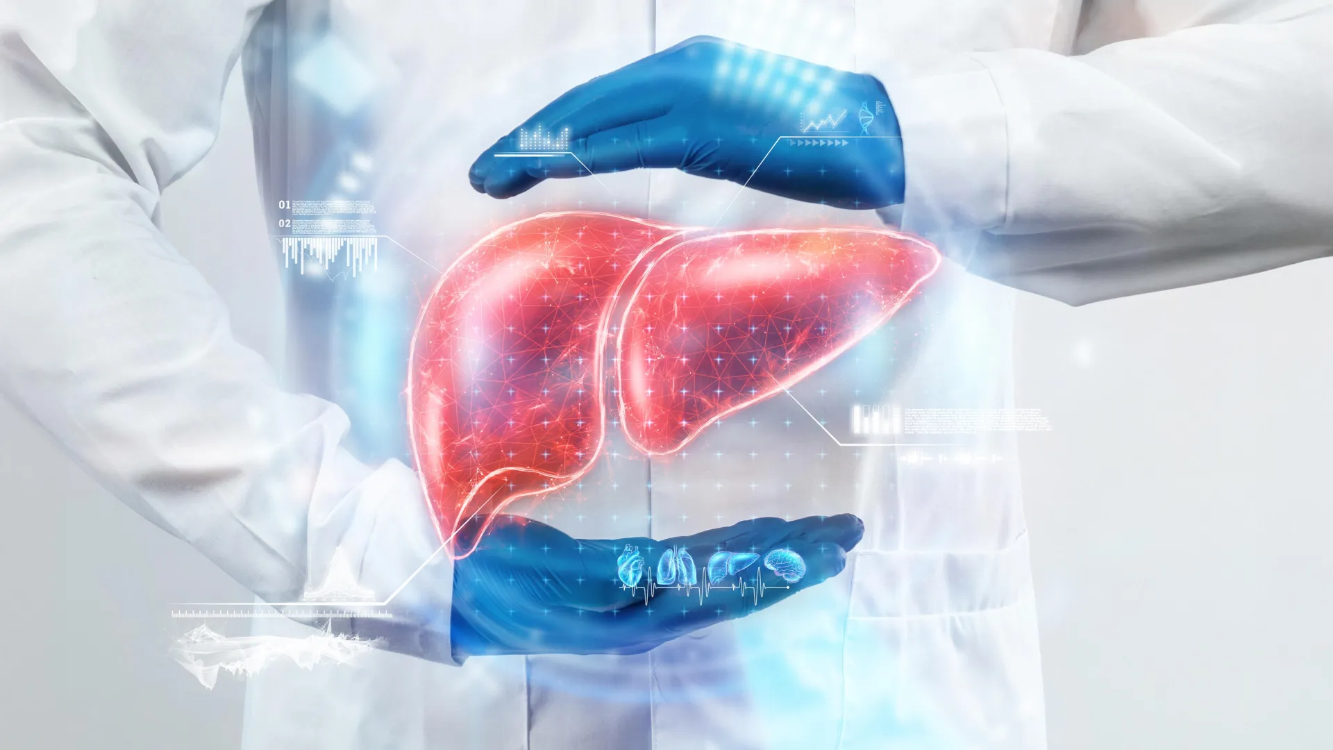 Scientists Reverse Liver Aging in Mice With Gut Bacteria