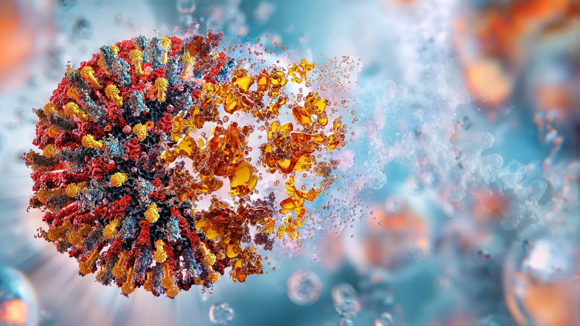 Scientists Find Weak Spot in Polio and Cold Viruses