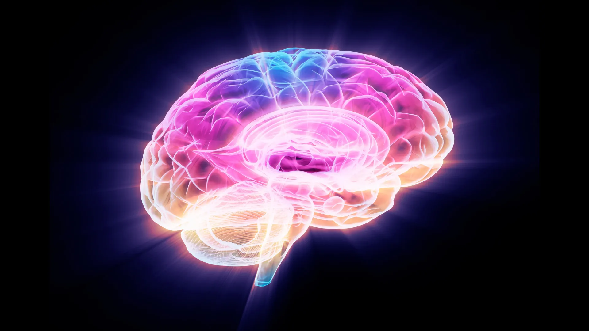 Microscopic view of neural connections in brain tissue showing healthy branching networks between cells