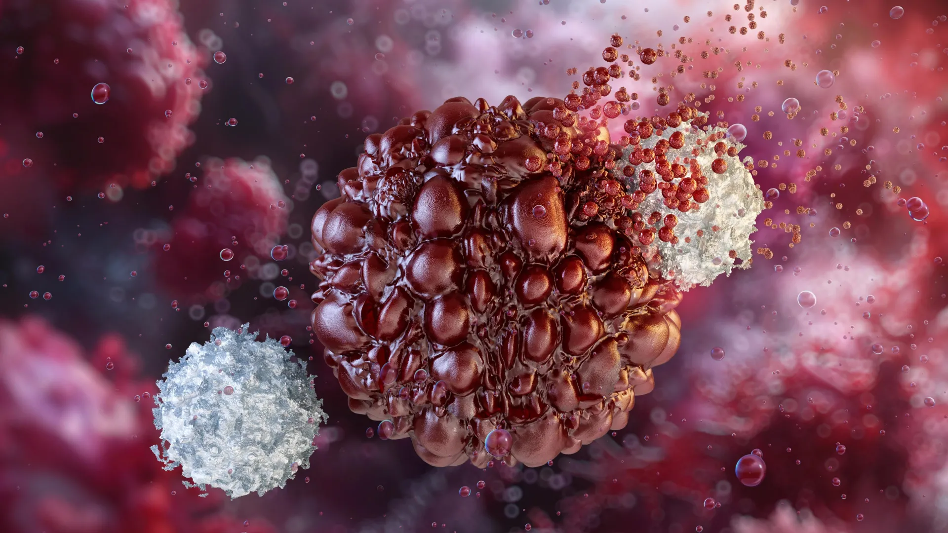 One Stem Cell Creates 14 Million Cancer-Fighting Cells