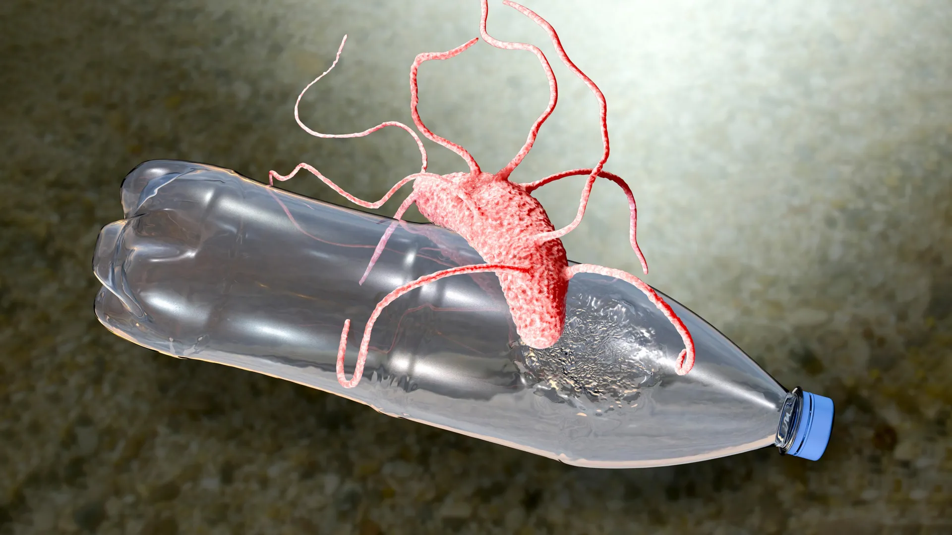 Scientists Find Enzyme That Eats Plastic in Under a Year