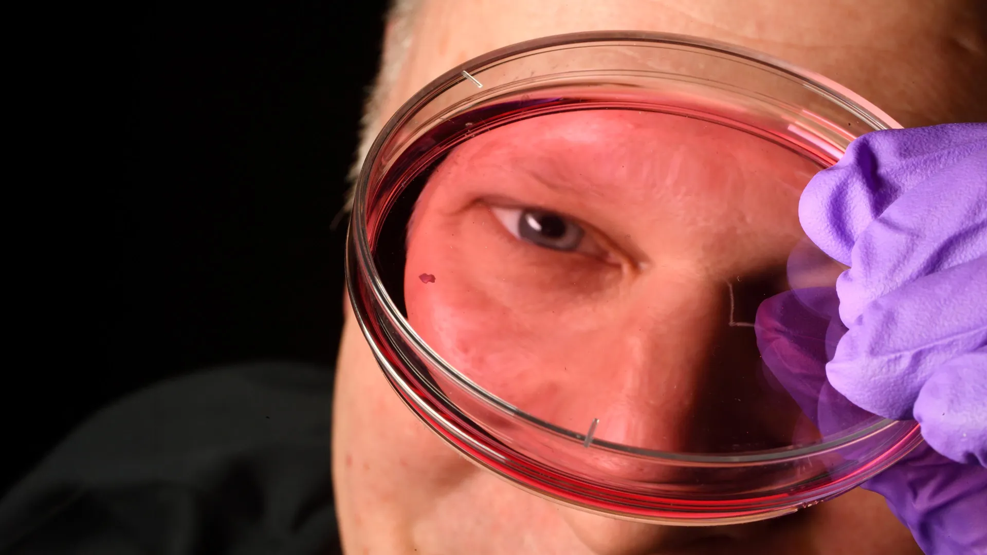 Scientists Crack the Code on How Humans See Sharply