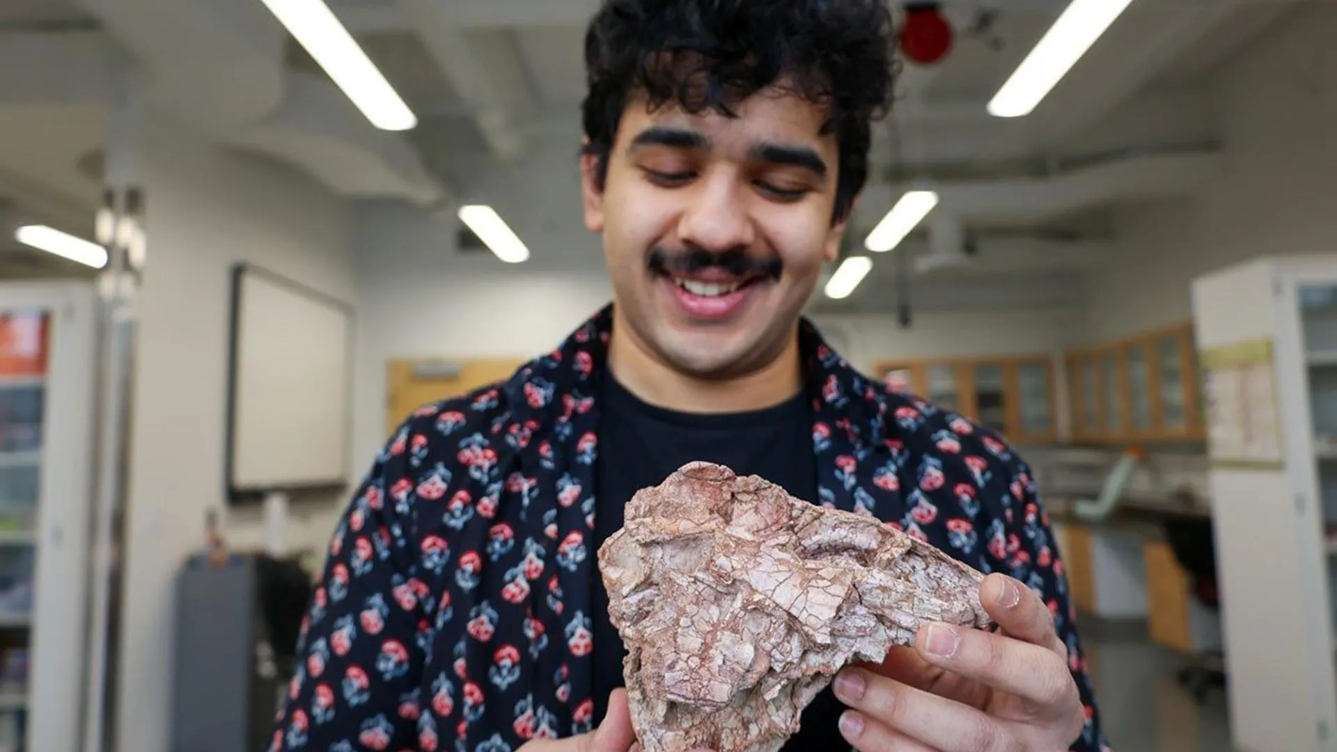 Student Finds "Murder Muppet" Dinosaur in Forgotten Fossil