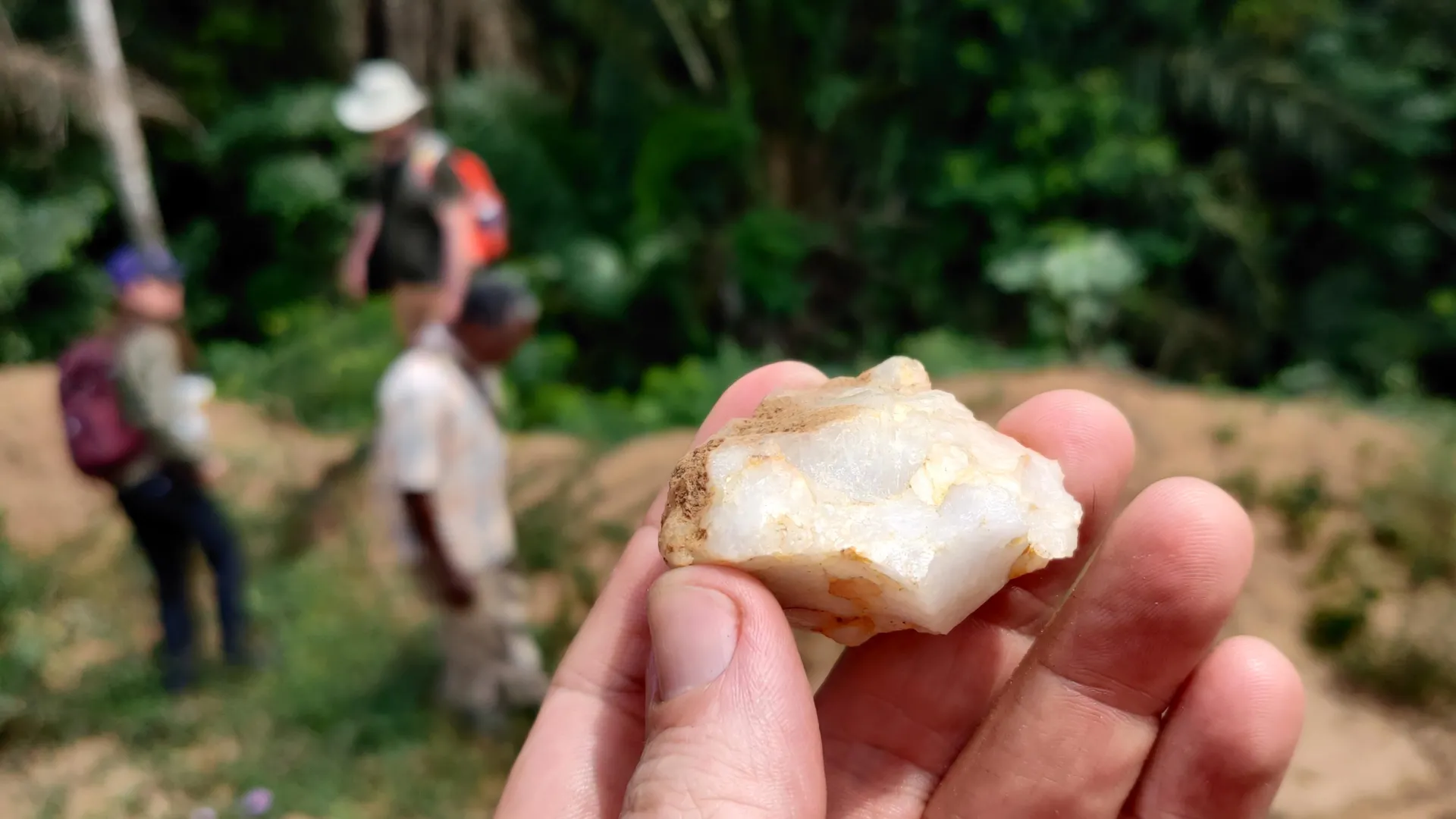Humans Thrived in African Rainforests 150,000 Years Ago