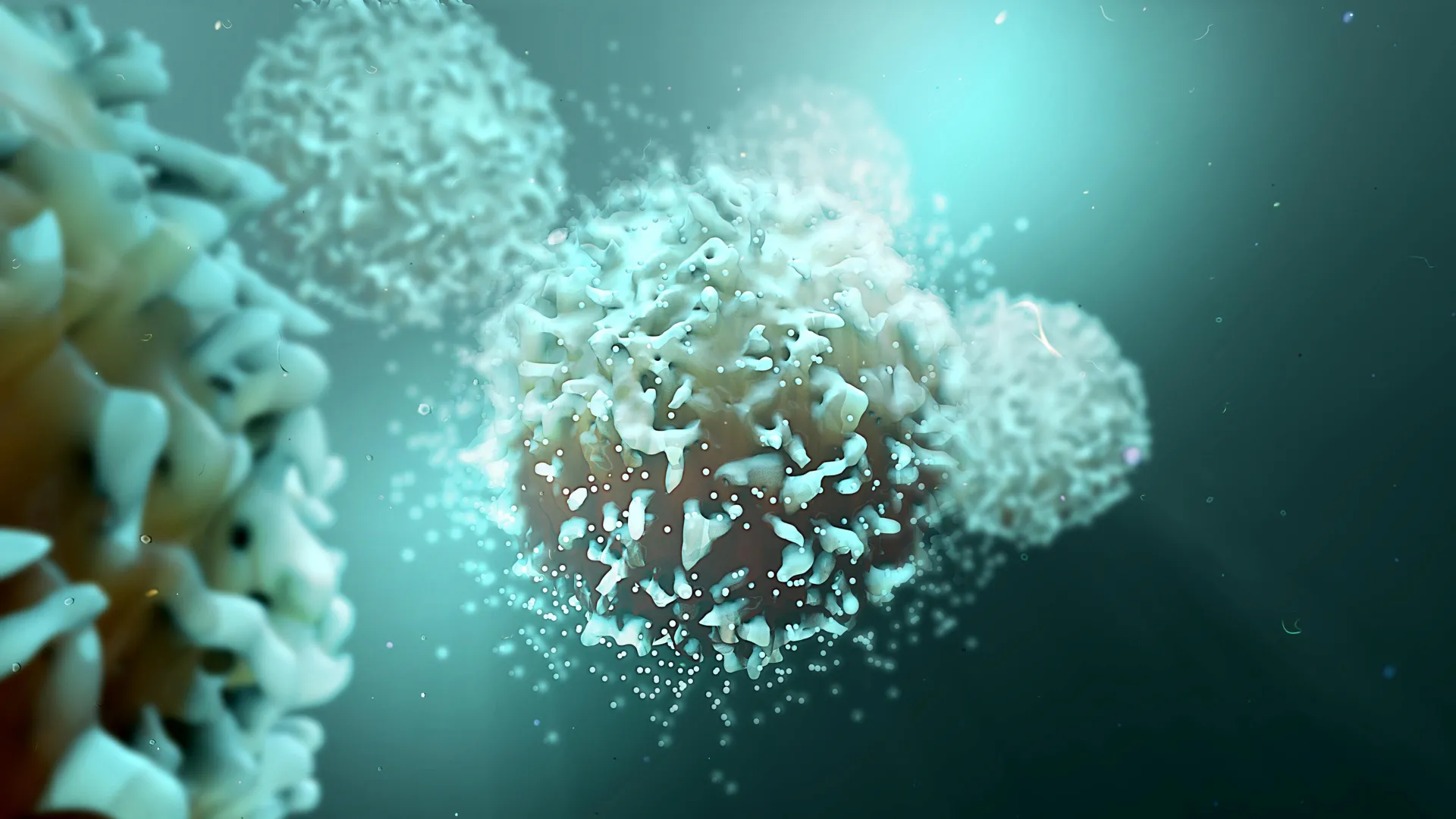 Scientists Rewire Immune Cells to Fight Cancer Better