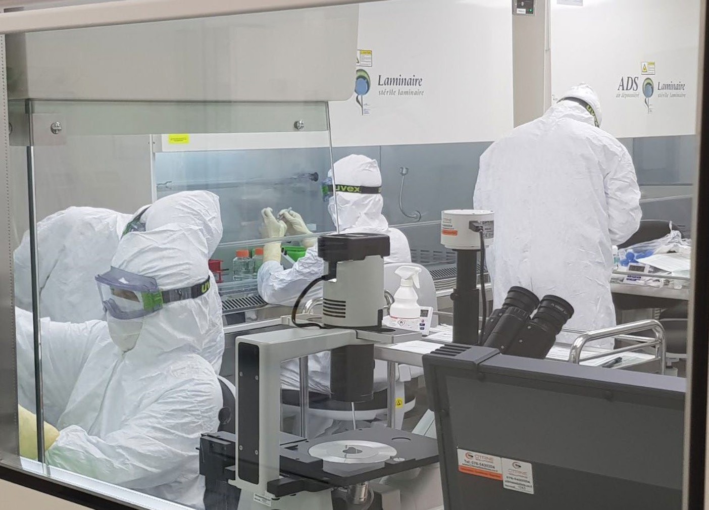 New Cell Therapy Brings Hope to 300M With Cornea Disease