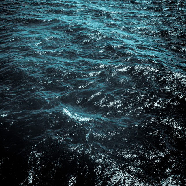 Scientists Find Sea Bacteria That Kills Brain-Eating Amoeba - Image 2