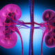 Kidney Algorithm Change Helps 5,400+ Black Patients Get Care - Image 4