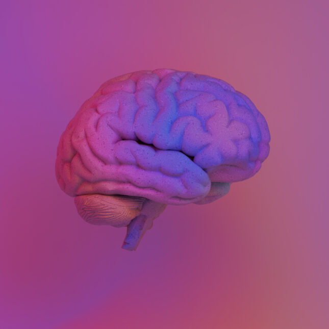 AI Team Designs Better Tools to Catch Memory Loss Early - Image 2