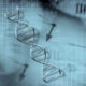 NIH Creates First Plan for Disability Health Research - Image 4