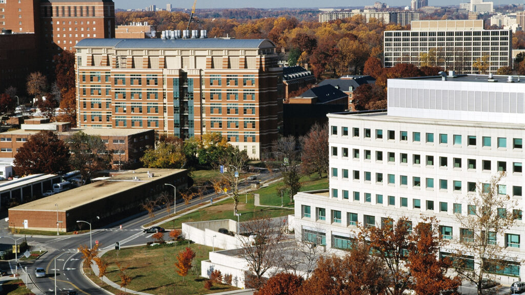 NIH Research Funding Saved as Court Battle Ends