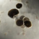FTC Settlement Could Save Americans $7B on Insulin - Image 4